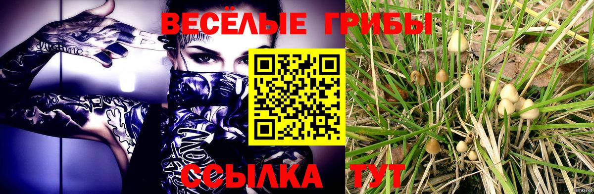 Краснокаменск  купить наркотики цена  Галлюциногенные грибы Psilocybine cubensis  Вход с VPN  Галлюциногенные грибы GOLDEN TEACHER 