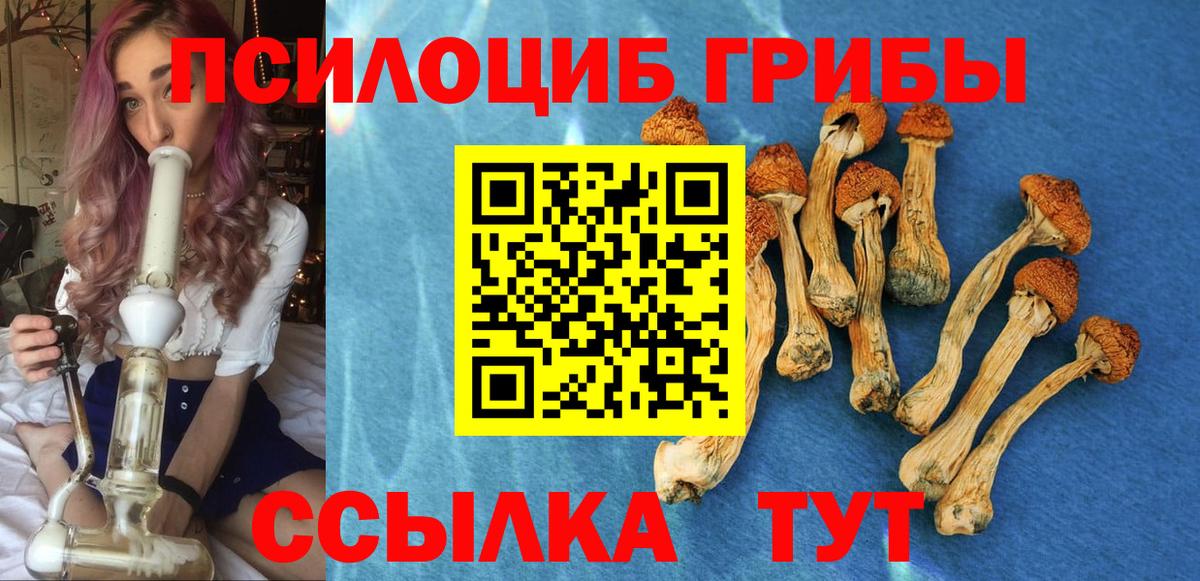 Галлюциногенные грибы прущие грибы Краснокаменск